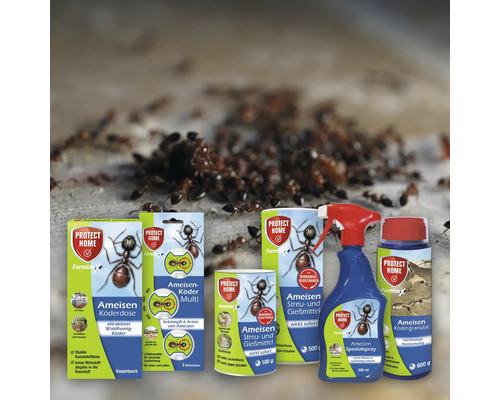 Produktreihe zur Ameisenbekämpfung von Protect Home Forminex mit Köderdose, Multi-Köder, Streu- und Gießmittel, Spezial Spray und Ködergranulat vor einem Hintergrund mit Ameisen.