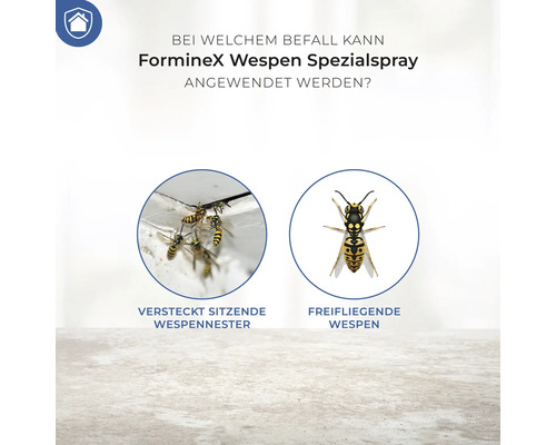 Forminex Wespen Spezialspray Anwendungsbereiche: versteckte Wespennester und frei fliegende Wespen