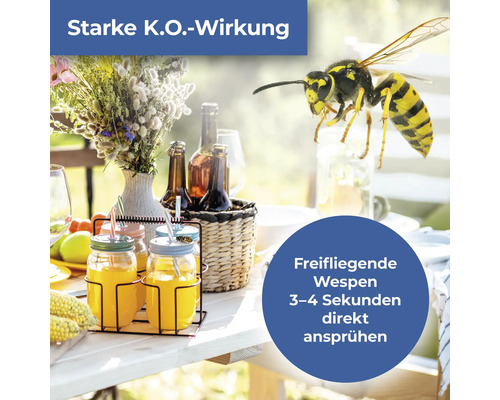 "Szene mit Tisch, Getränken, Blumen und einer Wespe