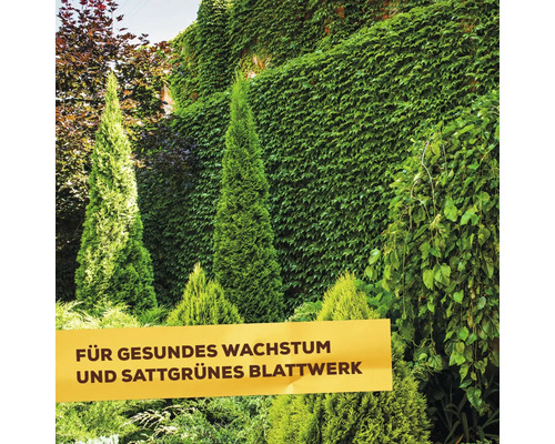 Garten mit Koniferen und einer mit Grünpflanzen bewachsenen Wand. Banner mit der Aufschrift Für gesundes Wachstum und sattgrünes Blattwerk.