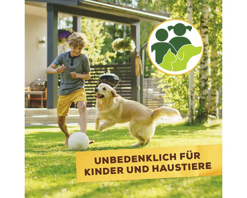 "Junge spielt mit Hund im Garten