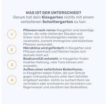Informationen zum Unterschied zwischen Kiesgarten und Schottergarten
