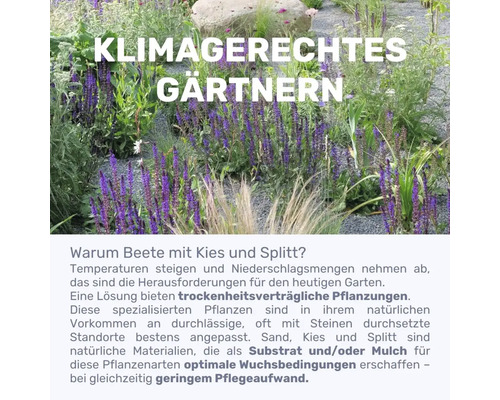 Klimagerechter Garten mit trockenheitsverträglichen Pflanzen, Kies und Splitt.