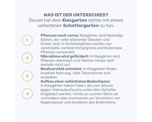 Informationen zum Unterschied zwischen Kiesgarten und Schottergarten