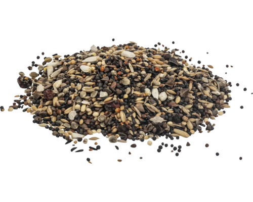 Haufen Vogelfutter mit verschiedenen Samen und Körnern