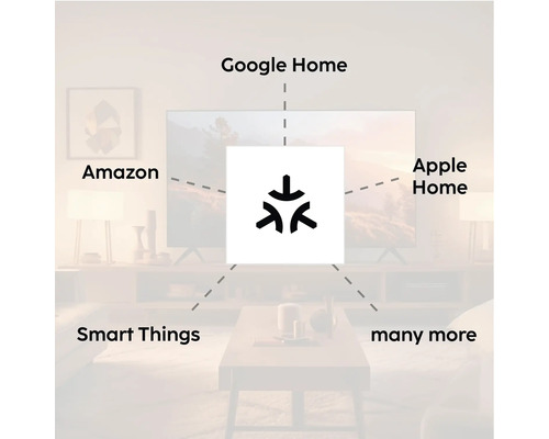 Kompatibilität mit Smart-Home-Systemen wie Google Home, Amazon, Apple Home und Smart Things.