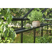 Gewächshausinneneinrichtung mit Pflanze im Korb, Bindfaden und Gartenwerkzeug auf einem Regal