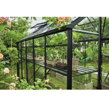 Gewächshaus mit Pflanzen in einem Garten