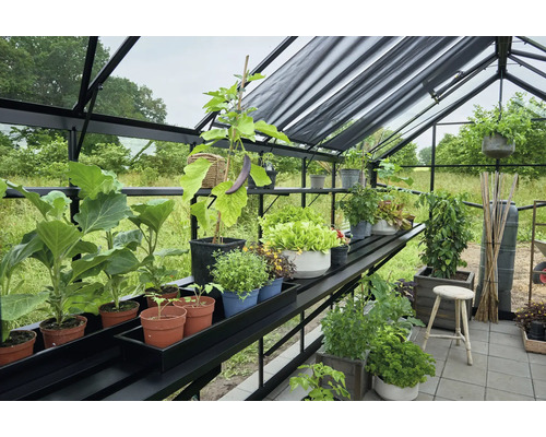 Gewächshaus mit Pflanzen auf Regalen und einem Hocker