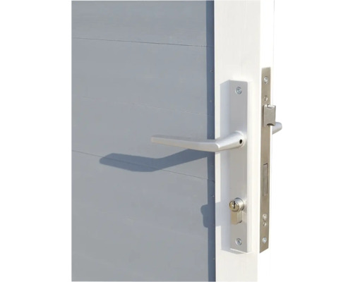 Detailansicht einer Haustür mit Schloss und Türgriff