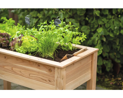 Hochbeet mit Salat, Schnittlauch, Minze und einer Gartenschaufel