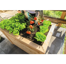 Hochbeet klassisch WESTMANN Klassic 100 x 65 x 66 cm natur