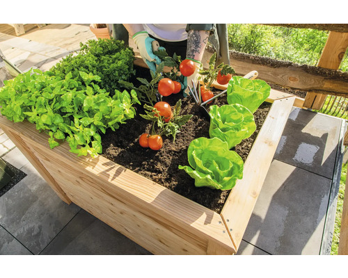 Hochbeet mit Salat, Tomaten und Kräutern auf einer Terrasse mit Pflastersteinen