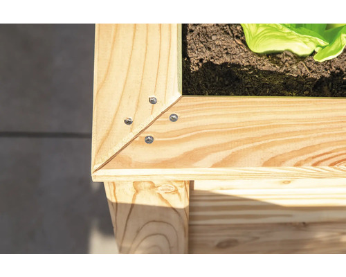 Detailansicht eines Hochbeets aus Holz mit Schrauben
