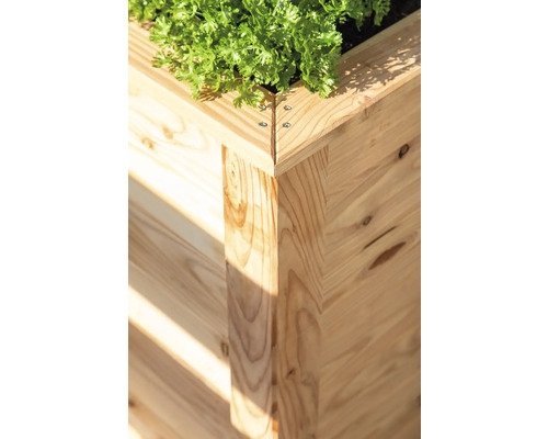Detailansicht eines Hochbeets aus Holz mit Pflanze
