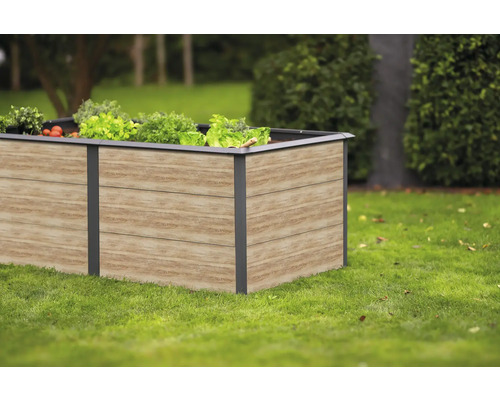 Hochbeet aus Holzimitat mit Gemüsepflanzen auf Rasen