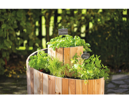 Kräuterspirale aus Holz mit verschiedenen Kräutern wie Basilikum und Minze