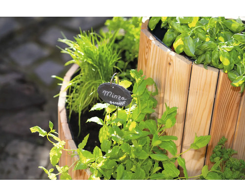 Hochbeet mit Kräutern wie Minze, Schnittlauch und Basilikum