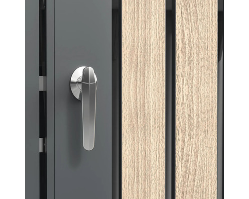 Detailansicht einer Tür mit Türgriff und Holzpaneelen