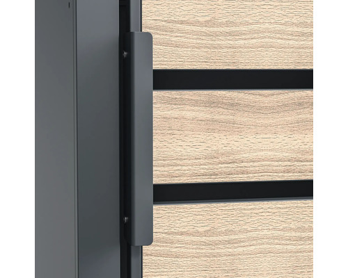 Detailansicht einer Haustür mit Griffstange und Holzverkleidung