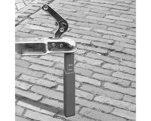 Anhängerkupplung mit integrierter Stützlastanzeige für Anhänger