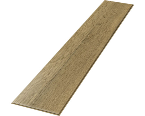 Einzelne Laminatdiele mit Holzstruktur