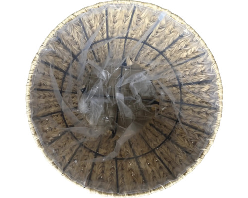 Blick von oben auf einen runden Pflanztopf aus geflochtenem Material mit Kunststoffeinsatz