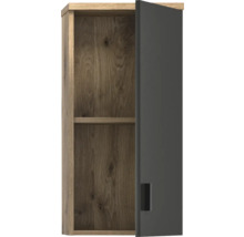 Hängeschrank mit einer Tür und einem Einlegeboden
