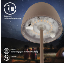 Nahaufnahme einer Pilzleuchte mit austauschbarer Batterie und Lichtquelle, Ein-/Ausschalter und USB-C-Anschluss