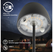 Detailansicht einer Gartenlampe mit LED-Leuchtmittel, Akku, USB-C Anschluss und Ein- beziehungsweise Ausschalter