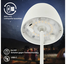 Abnehmbare Lichtquelle und Akku der Tischleuchte