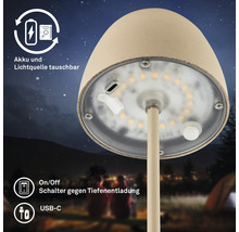 Pilzleuchte mit wechselbarem Akku und Lichtquelle für den Aussenbereich