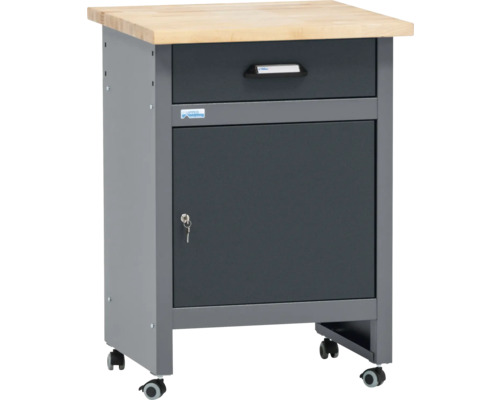 Werkbankwagen mit Schublade, Tür und Holzplatte