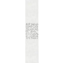 Fototapete Vlies 33277 Natural Opulence by Felix Diener Sprüche grau silber 1-tlg. 70 x 330 cm