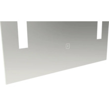 Duschwand aus Glas mit Bedienelement