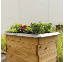 Holzhochbeet mit Kräutern und Gemüsepflanzen