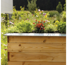 Hochbeet aus Holz mit Kräutern und Gemüse im Garten