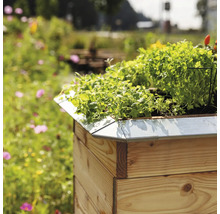 Hochbeet aus Holz mit Kräutern bepflanzt