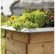 Hochbeet aus Holz mit Bepflanzung im Garten