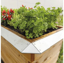 Hochbeet aus Holz mit Kräutern und Gemüsepflanzen.