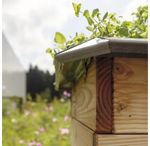 Detailansicht eines Hochbeets aus Holz mit Bepflanzung