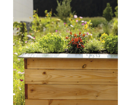 Hochbeet mit Kräutern und Gemüsepflanzen im Garten.