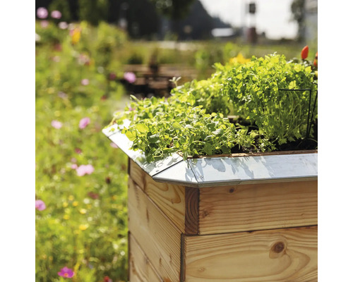 Hochbeet aus Holz mit Pflanzen im Garten