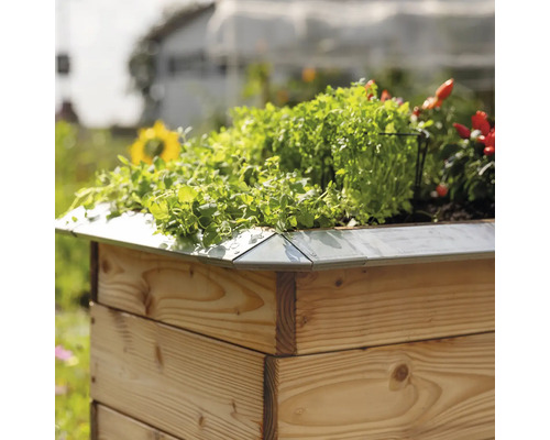 Hochbeet aus Holz mit Pflanzen und Kräutern bepflanzt