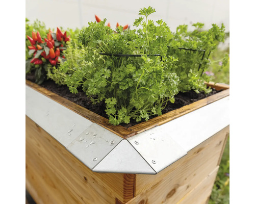 Hochbeet aus Holz mit Kräutern und Metallverstärkung