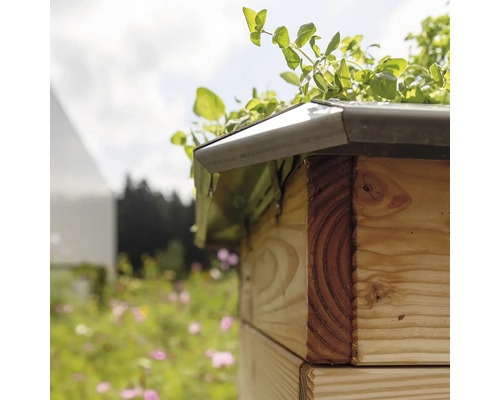 Detailaufnahme eines Hochbeets mit Pflanzen