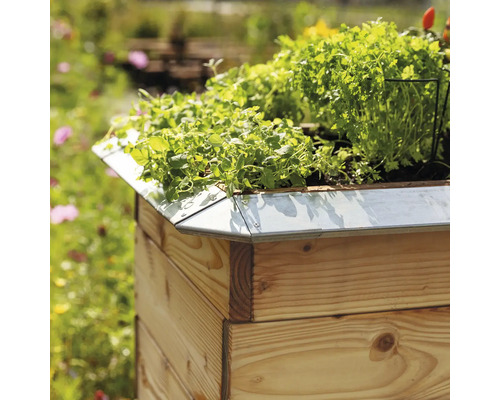 Hochbeet aus Holz mit Pflanzen