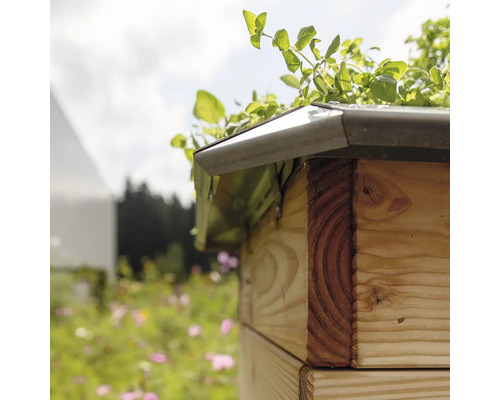 Detailansicht eines Hochbeets mit Pflanzen und Holzbalken
