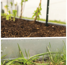 Hochbeet mit Erde und Bepflanzung im Garten