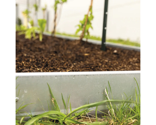 Hochbeet mit Erde und Bepflanzung im Garten